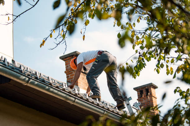 Best Roof Gutter Cleaning  in Pulaski, TN