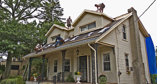 Best Storm Damage Roof Repair  in Pulaski, TN