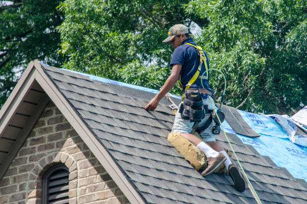 Best Shingle Roofing Installation  in Pulaski, TN